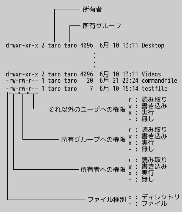 ファイルやディレクトリの詳細表示の各列の意味