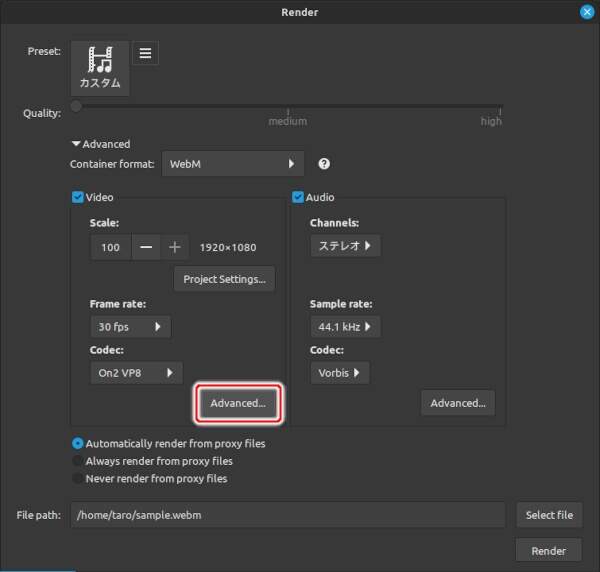 4. さらに[Advanced...]ボタンを押す
