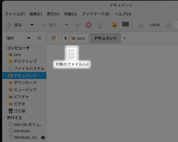 7. "対象のファイル.txt" が貼り付けられる